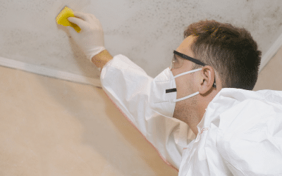 How Vericon helps identify the root cause of damp and mould