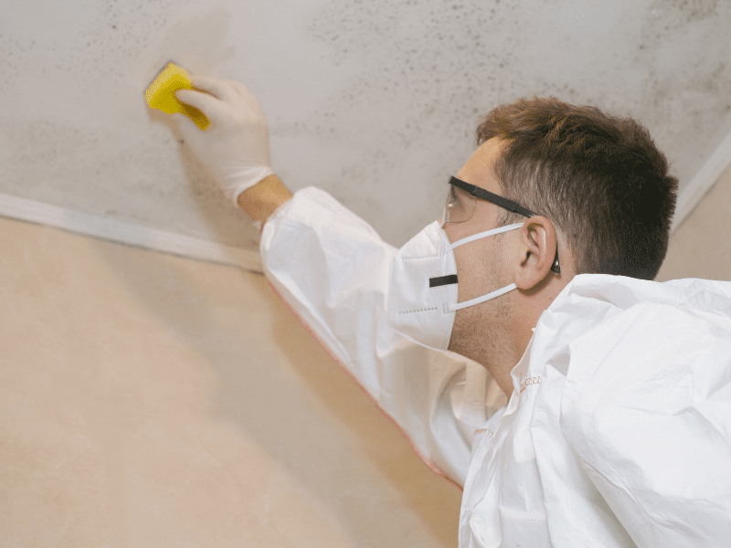 How Vericon helps identify the root cause of damp and mould