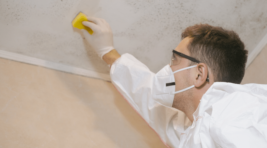 How Vericon Helps Housing Providers Identify the Root Cause of Damp & Mould<br />
